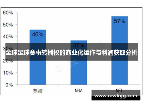 全球足球赛事转播权的商业化运作与利润获取分析