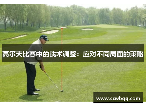 高尔夫比赛中的战术调整：应对不同局面的策略