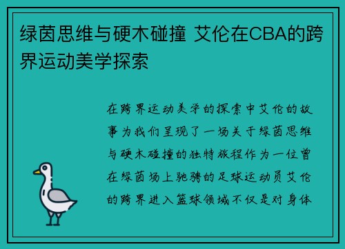 绿茵思维与硬木碰撞 艾伦在CBA的跨界运动美学探索
