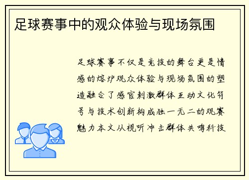 足球赛事中的观众体验与现场氛围